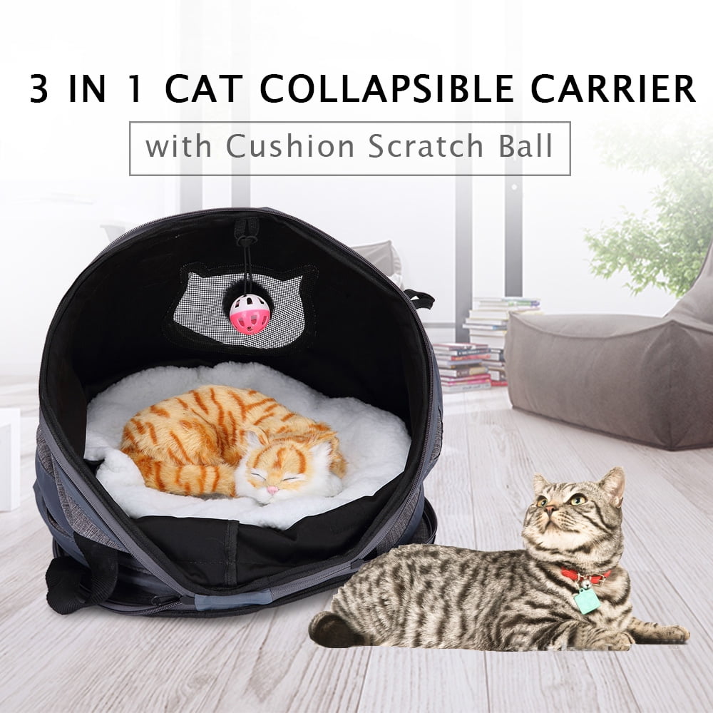3 cat carrier