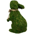 thumbnail image 5 of Northlight Standing Moss Easter Rabbit Figurine - 10", 5 of 6