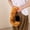 Yellow, variant on White 14 Inch White Simulation Animal Tail Plush Toy Soft Costume Prop For Role Play Dress Up