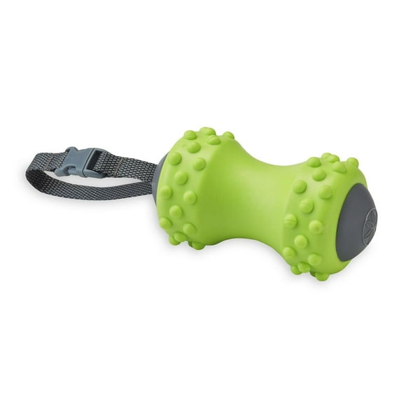 Gaiam Restore Mini On-The-Go Massager