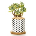 thumbnail image 1 of PENGXIANG Plant Pot Cylindrical Flowerpot 7.5x7.6cm Geometric Pattern Simple Black White Nordic Style Home Decor Ceramic Vase, 1 of 2