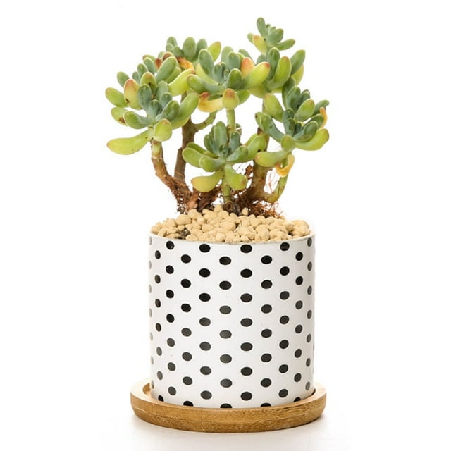 Plant Pot Cylindrical Flowerpot 7.5x7.6cm Geometric Pattern Simple Black White Nordic Style Home Decor Ceramic Vase