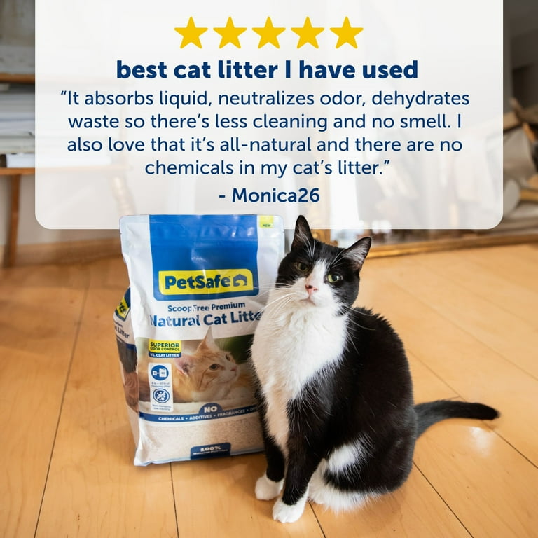 Cat litter with no smell hotsell