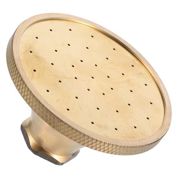 Milisten Vintage European Style Golden Brass Handheld Shower with Efficient Single Spray for Bathroom