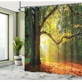 thumbnail image 5 of Ambesonne Tree Shower Curtain, Oak Autumn Leaves, 69"Wx75"L, Orange Green Brown, 5 of 5