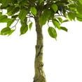 thumbnail image 4 of Nearly Natural 3' Ficus Artificial Tree UV Resistant (Indoor/Outdoor), 4 of 4