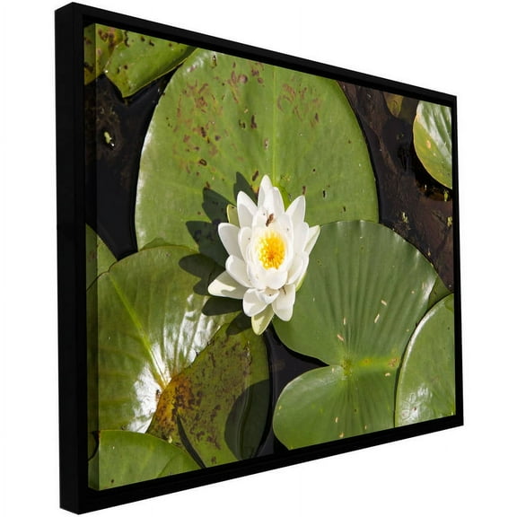 Cody York "Lilly Pad" Floater-Framed Gallery-Wrapped Canvas