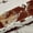 Brown Wheat, variant on Castle Fairy Mallard Duck Curtains Pack of 2 (42x84 Each),Rustic Camouflage Curtains Blackout,Abstract Vintage Bedroom Curtains,Breathable Animal Home Decor