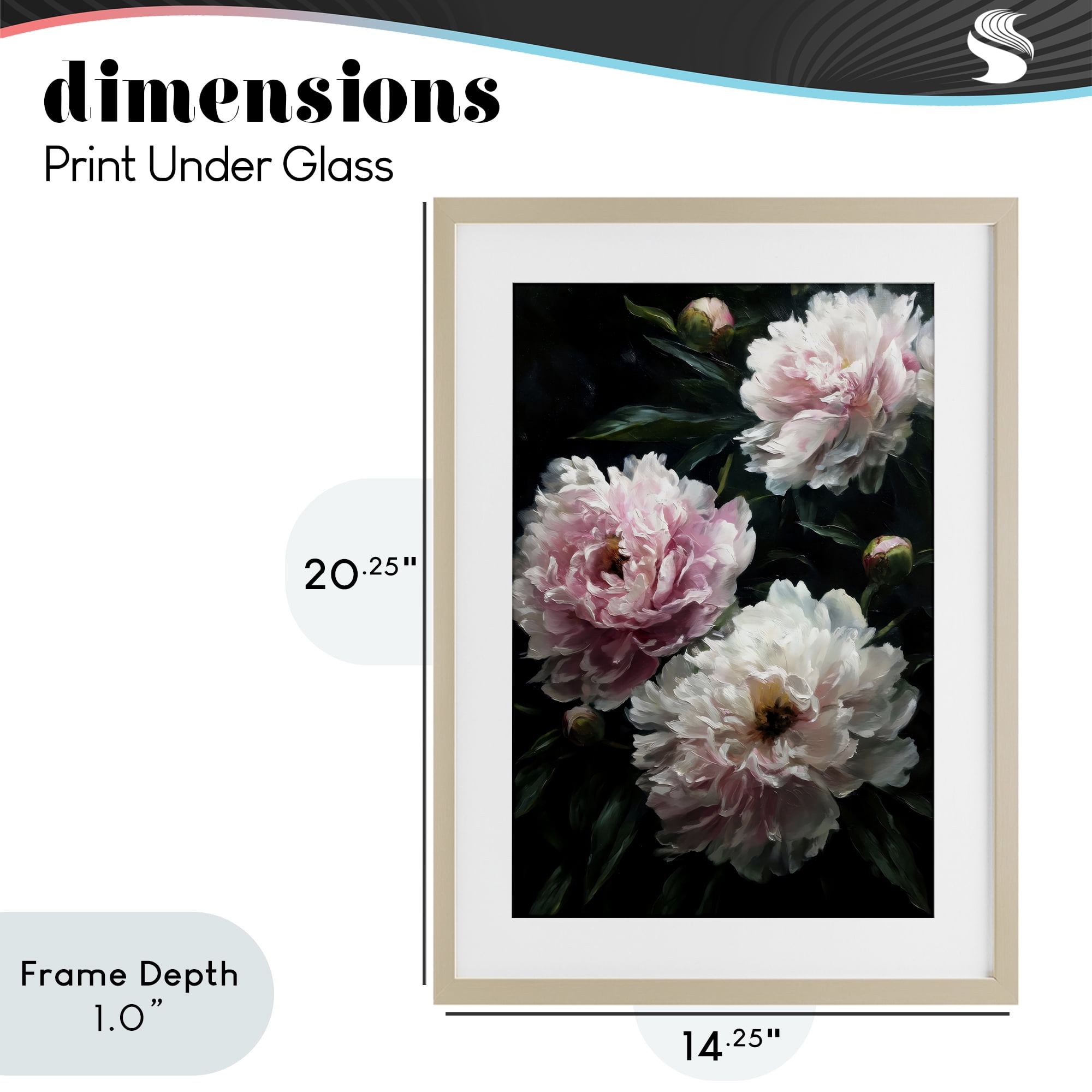 Stupell Industries Soft Pink Peony Garden Birch Framed Print Under Glass, design by Petal Prints Design