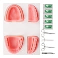 thumbnail image 2 of Kit de Sutura, Modelo de Silicona Kit de Adrenamiento de Sutura oral Paquete individual para estudiantes, 2 of 7
