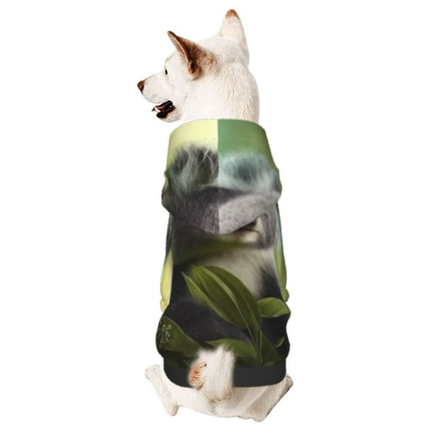 Balery Daisy Koala Sudadera con Capucha para Perros Pequeños – Ropa para Mascotas, Disfraz para Perros y Gatos, Ideal para Fiestas y Cosplay-Medium