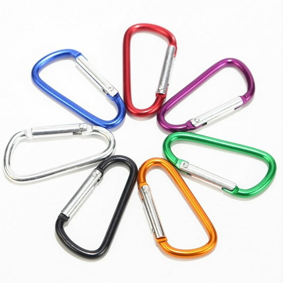 Taituoti 10Pcs Carabiner Spring D-Ring Belt Clip Snap Key Chain Aluminum Hook