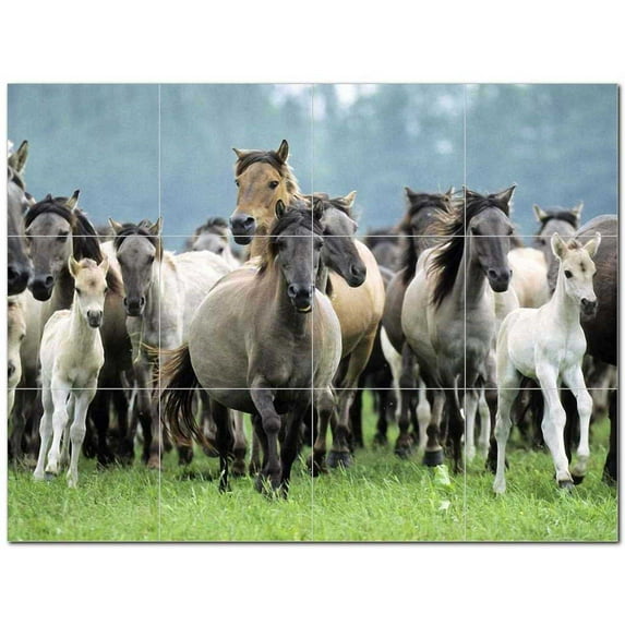 Horse Photo Ceramic Tile Mural Kitchen Backsplash Bathroom Shower 405256-L43