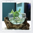 thumbnail image 3 of Toystoory Terrario funcional y decorativo de a la deriva para exhibición única y plantación de amplia aplicación Jardín y Patio, 3 of 6