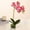 C, variant on Clearance Under $10 Artificial flowers, 1 Pcs Glass Vase Artificial Orchid Flower Bonsai Viv Phalaenopsis Flowers Potting For Home Décor Table Centerpiece Room Decorations