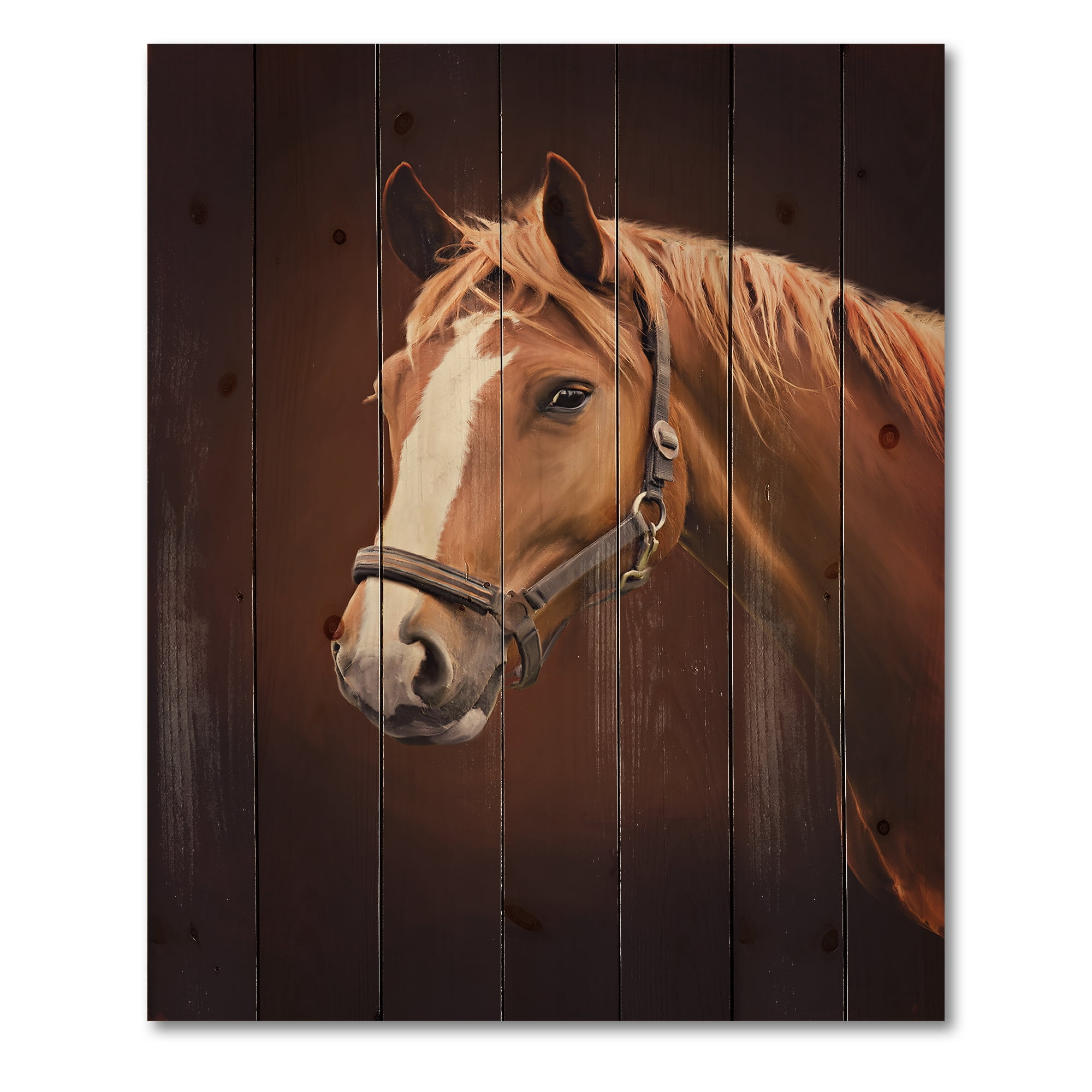Designart 'Close Up Portrait Of Brown Horse With White Nose II' Farmhouse Print on Natural Pine Wood