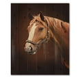 thumbnail image 3 of Designart 'Close Up Portrait Of Brown Horse With White Nose II' Farmhouse Print on Natural Pine Wood, 3 of 5