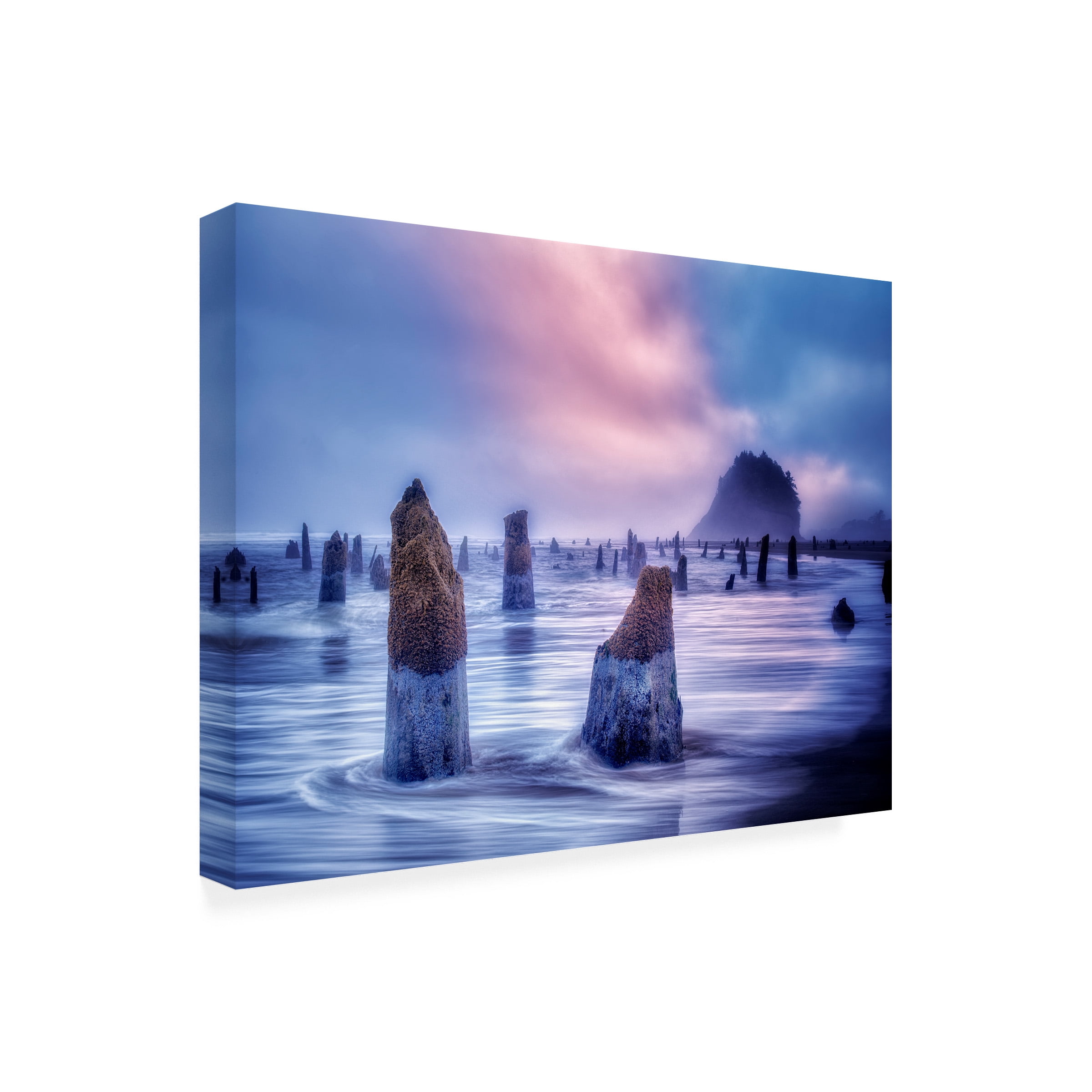 Dennis Frates 'The Ghost Forest 1' Canvas Art
