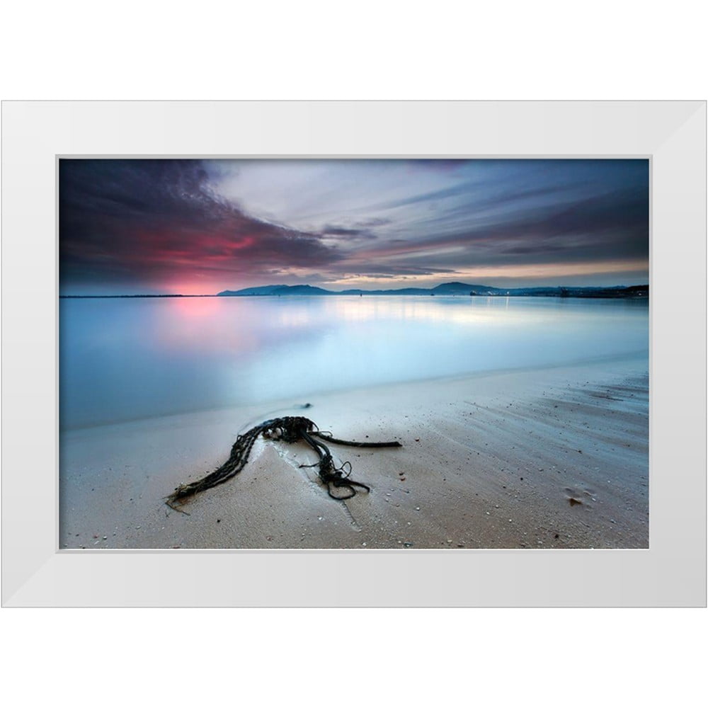 David, Rui 24x17 White Modern Wood Framed Museum Art Print Titled ...