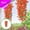 Orange, variant on Lilgiuy 4Pcs Artificial Hanging Morning Glory Flowers, 29.92in Faux Silk Morning Glory Flowers for Home Porch Patio Planter, UV Resistant Artificial Plants for Outdoor Outside (Pink)