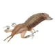 thumbnail image 5 of Modelo De Animal Marino, Camarón De Simulación, Forma De Camarón Mantis Vívida, Atractivo Para Niños, Juguete Cognitivo Para Accesorios De Juego ANGGREK Simulation Mantis Shrimp, 5 of 8