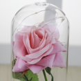 thumbnail image 4 of Rosa de imitación de lámina de oro, rosa eterna, rosa, rosa, regalo creativo para el día de San Valentín, 4 of 6