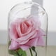 thumbnail image 4 of Rosa de imitación de lámina de oro, rosa eterna, rosa, rosa, regalo creativo para el día de San Valentín, 4 of 6