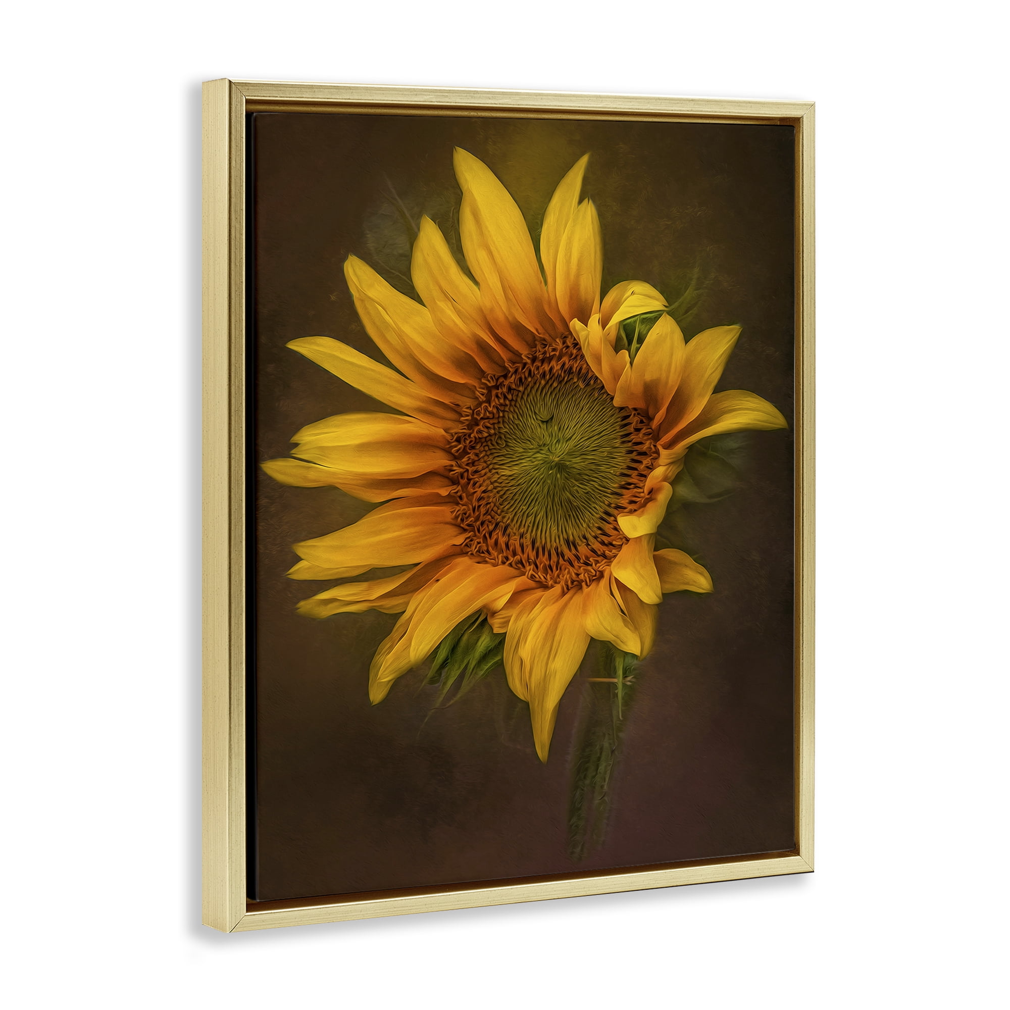 Stupell Industries Curling Petals Sunflower Plants & Flowers Painting Gold Floater Framed Canvas Art Print Wall Art, 25 x 31