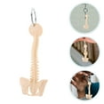 thumbnail image 3 of KAKOWELY keychain 2pcs Realistic Human Spine Keychain Stylish Backpack Hanging Accessory Mini Spine Keyring Pendant For Anatomy Teaching And Medical Display, 3 of 5