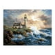 thumbnail image 1 of Pintura Diamante 5D BLESIY Taladro Completo Paisaje Marino, 1 of 8