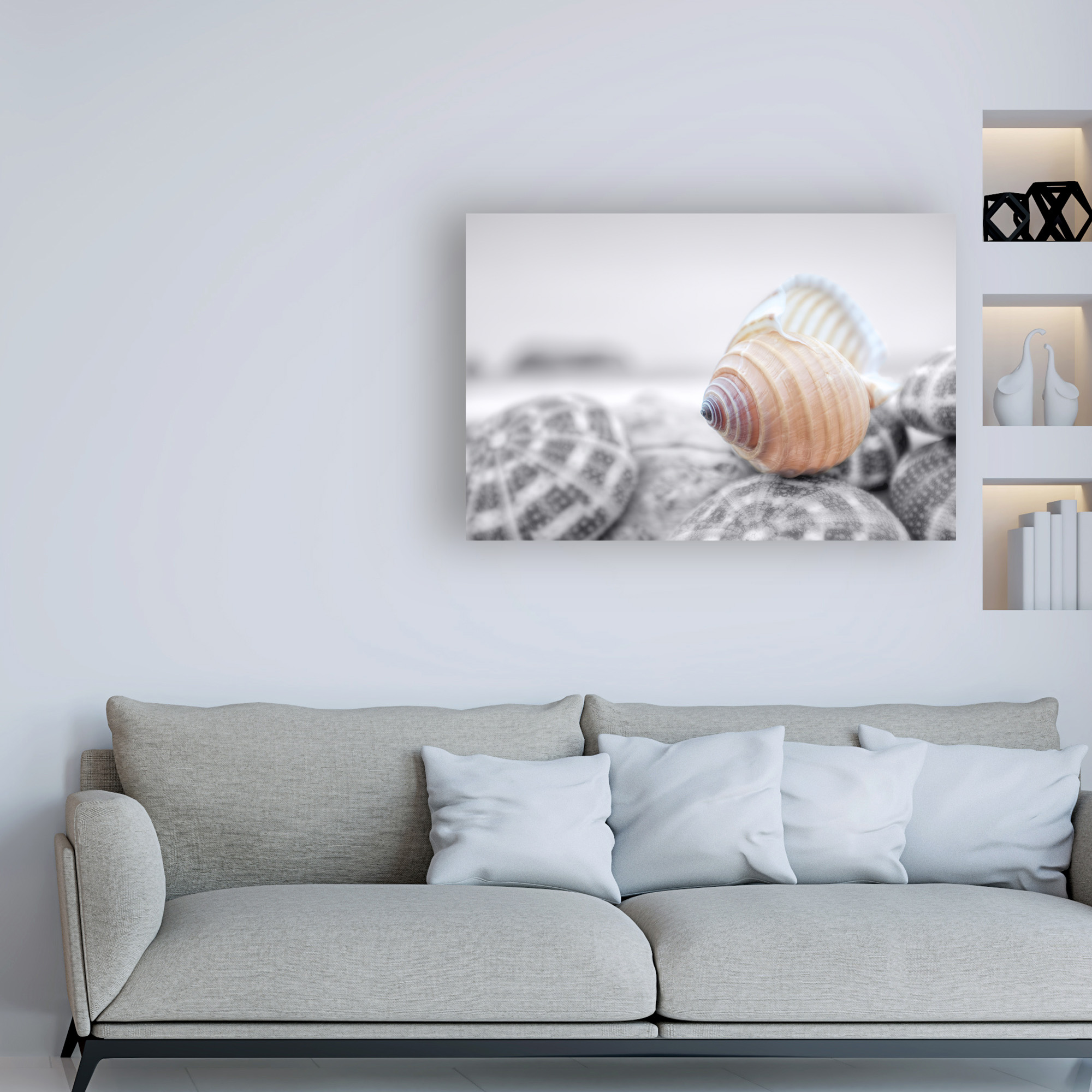 Trademark Fine Art 'Crescent Beach Shells 15' Canvas Art by Alan Blaustei
