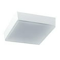 thumbnail image 1 of RAB Lighting 9W SKEET LED Surface Mount Square 3000K White Fixture, 1 of 1