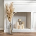 thumbnail image 7 of Vickerman 46" Dried Natural Pampas Grass, 6 pieces per Pack, 7 of 7