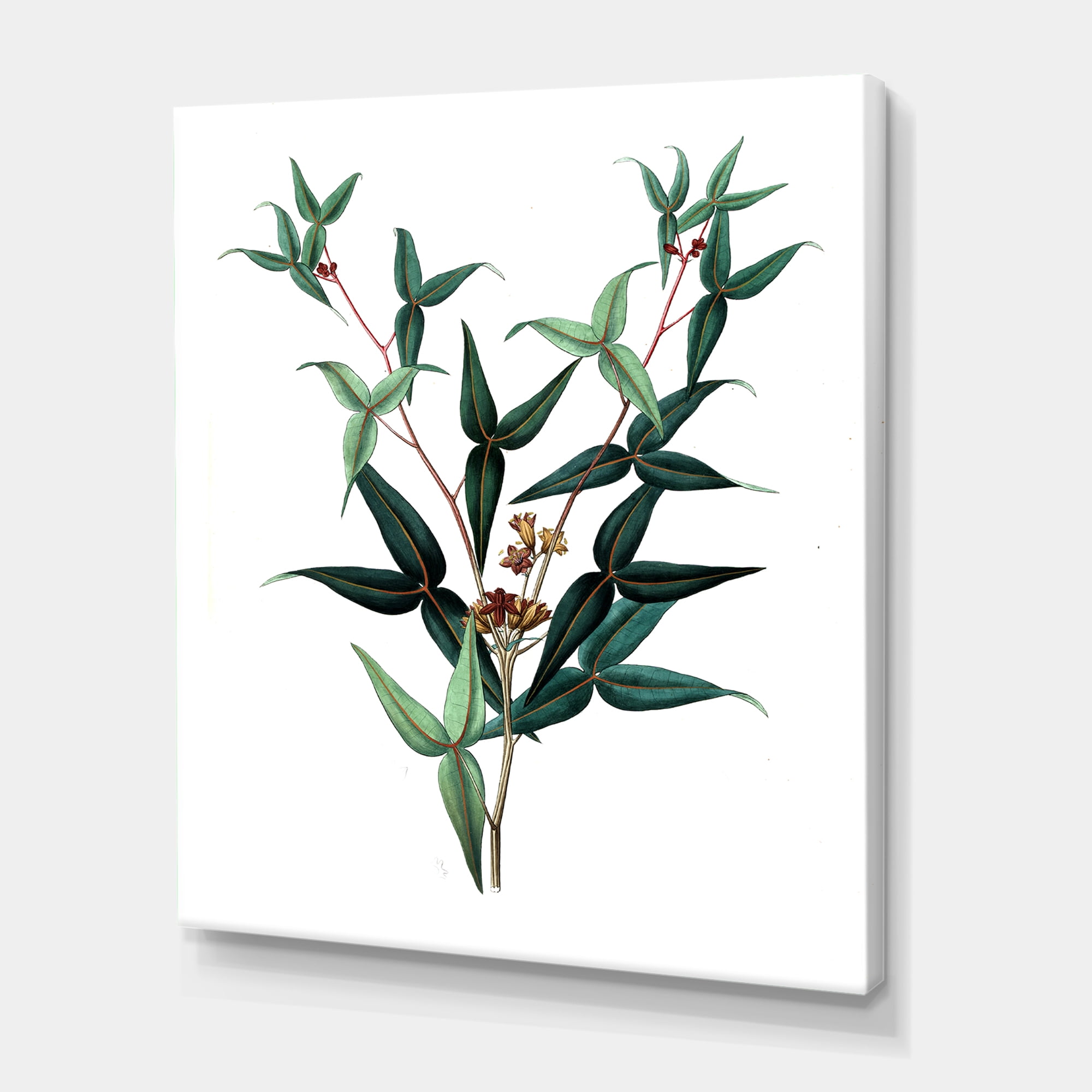 Designart ' Ancient Green Leaves Plants VIII ' Traditional Canvas Wall Art Print