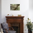 thumbnail image 3 of Leopard Resting in Tree, Animals Unframed Photographic Print Wall Art Sold by Art.Com, 3 of 4
