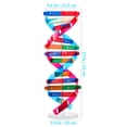 thumbnail image 4 of FRCOLOR DNA Model Self Assembling DNA Display Stand Double Helix Model Human Genes Learning Toy Biological Teaching Aid,4.57"X4.57"X12.99", 4 of 5