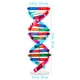 thumbnail image 4 of EeaseMX Expositor de ADN autoensamblable, modelo de doble hélice, juguete de aprendizaje de genes humanos, material didáctico biológico, 4 of 7