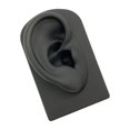 thumbnail image 1 of pitrice Accessoire d'Exposition d'Outil Pédagogique Modèle d'Oreille Souple en Silicone Noir, 1 of 9