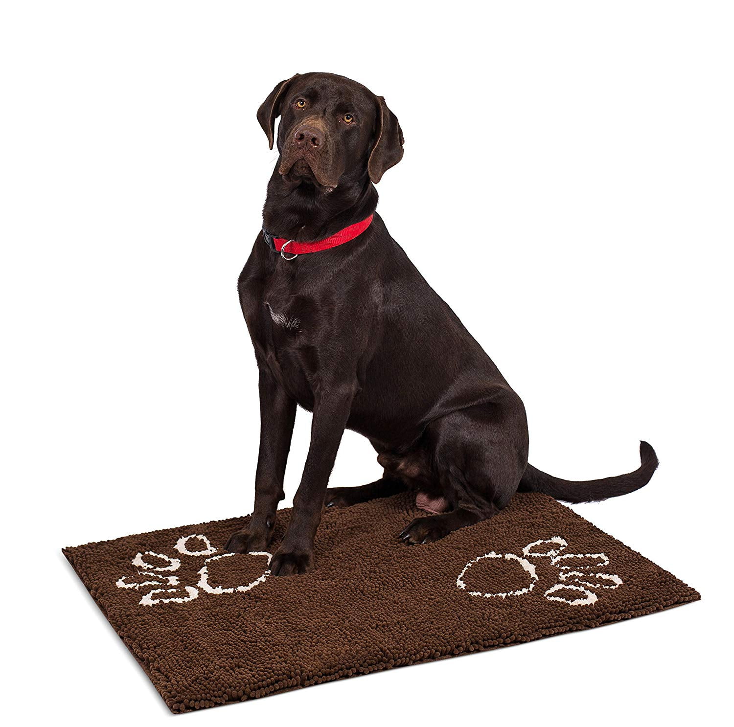 Non-Skid Bo Absorbent Surface 60 x 30 Internet's Best Chenille Dog Doormat 