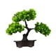 thumbnail image 3 of Bonsái artificial, planta en maceta, con maceta, decoración de plantas pequeñas. Pino doble, 3 of 9