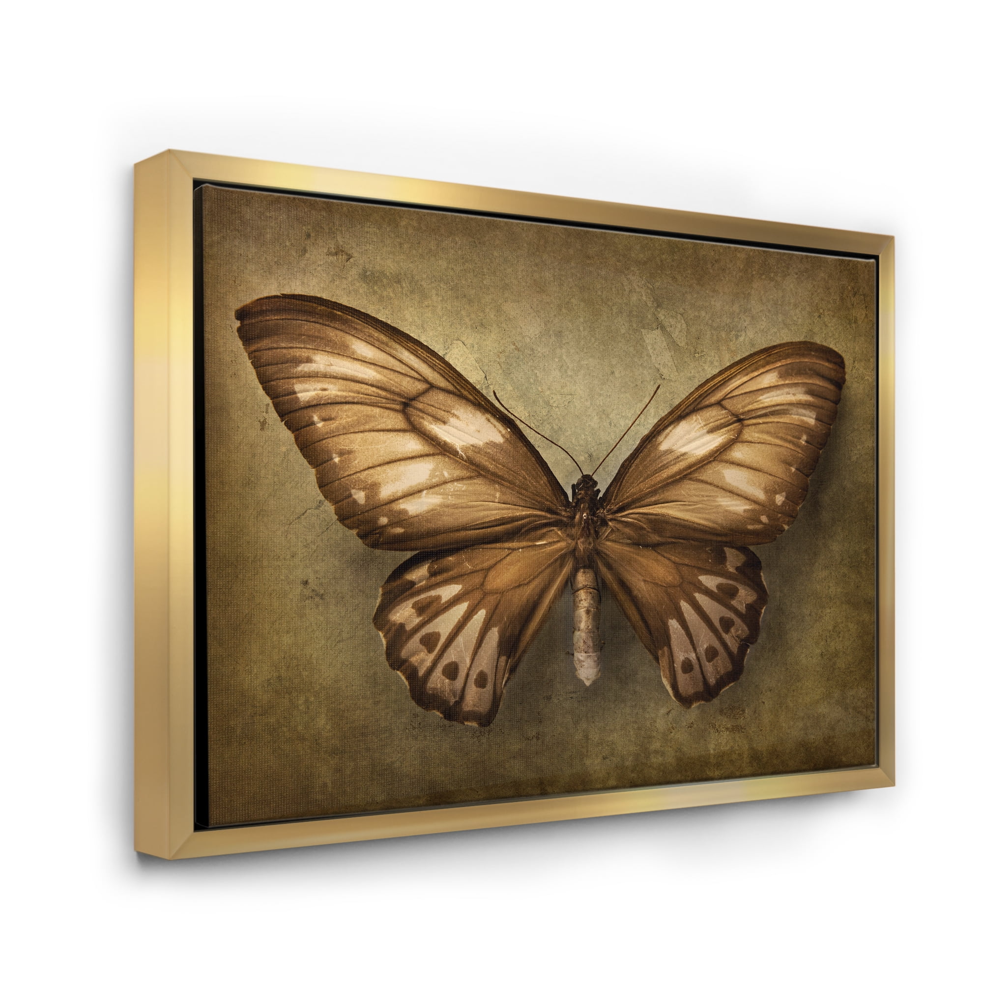 Designart 'Ancient Butterfly In Earth Tones' Vintage Framed Canvas Wall Art Print