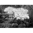 thumbnail image 2 of Geyman, Vitaly 32x24 White Modern Wood Framed Museum Art Print Titled - Magic Tree, 2 of 4