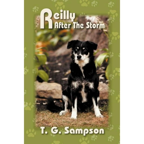 Reilly After the Storm (Paperback)