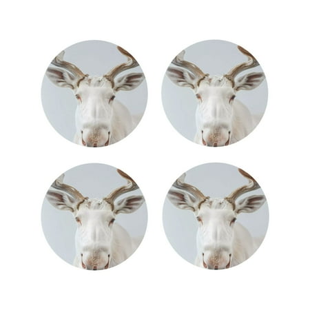 

Kdxio White Reindeer Portrait Funny Coasters 4 Pcs Leather Coasters Housewarming Gifts Protect Furniture from Water Marks Scratch and Damage