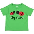 thumbnail image 3 of Inktastic Big Sister Girls Toddler T-Shirt, 3 of 5