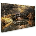 thumbnail image 2 of Trademark Fine Art "Dream Fall" Canvas Art by Philippe Hugonnard, 2 of 3