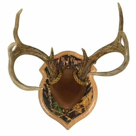 Walnut Hollow Country Deluxe Antler Display Kit in Solid Oak with Camouflage Finish for Whitetail Deer & Mule Deer