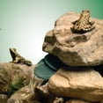 thumbnail image 4 of Tetra Repto-Filter, Filtration for Terrariums up to 15 Gallons, 4 of 7