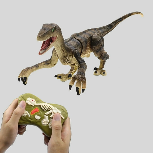 Remote Control Velociraptor Dinosaur Robot Educational Walking