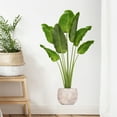 thumbnail image 2 of Adhesivo de pared de planta bonita verde en maceta creativa decoración de pared extraíble TUNC Sencillez, 2 of 5